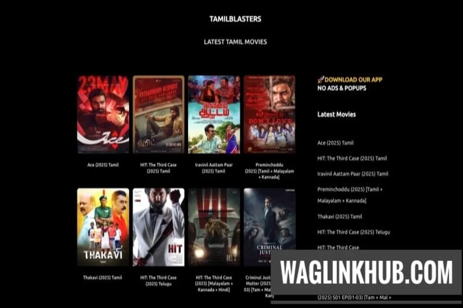 1tamilblasters new link