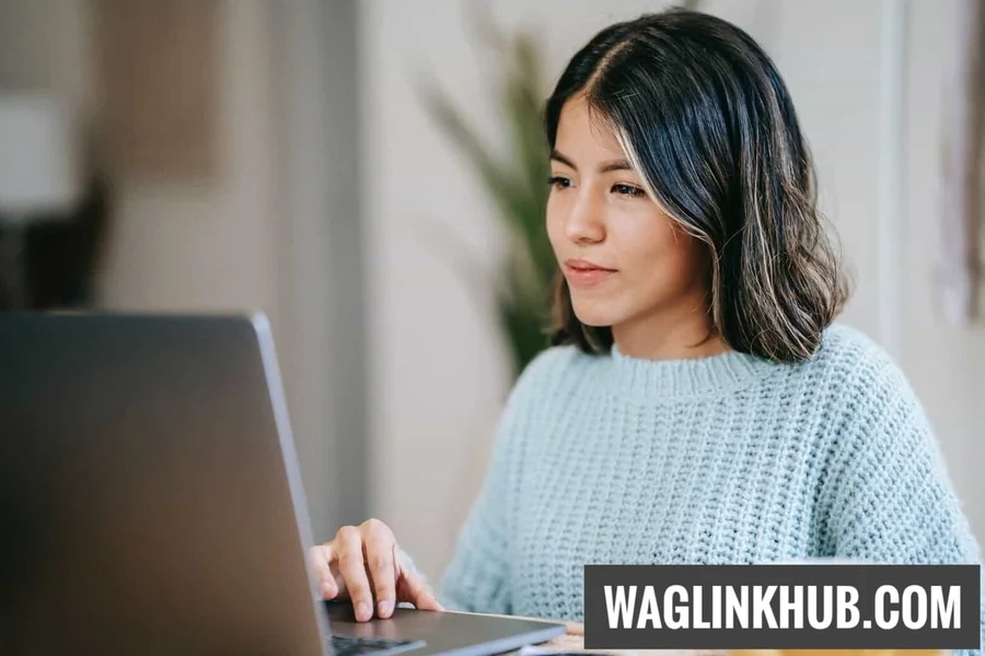 1tamilblasters new link